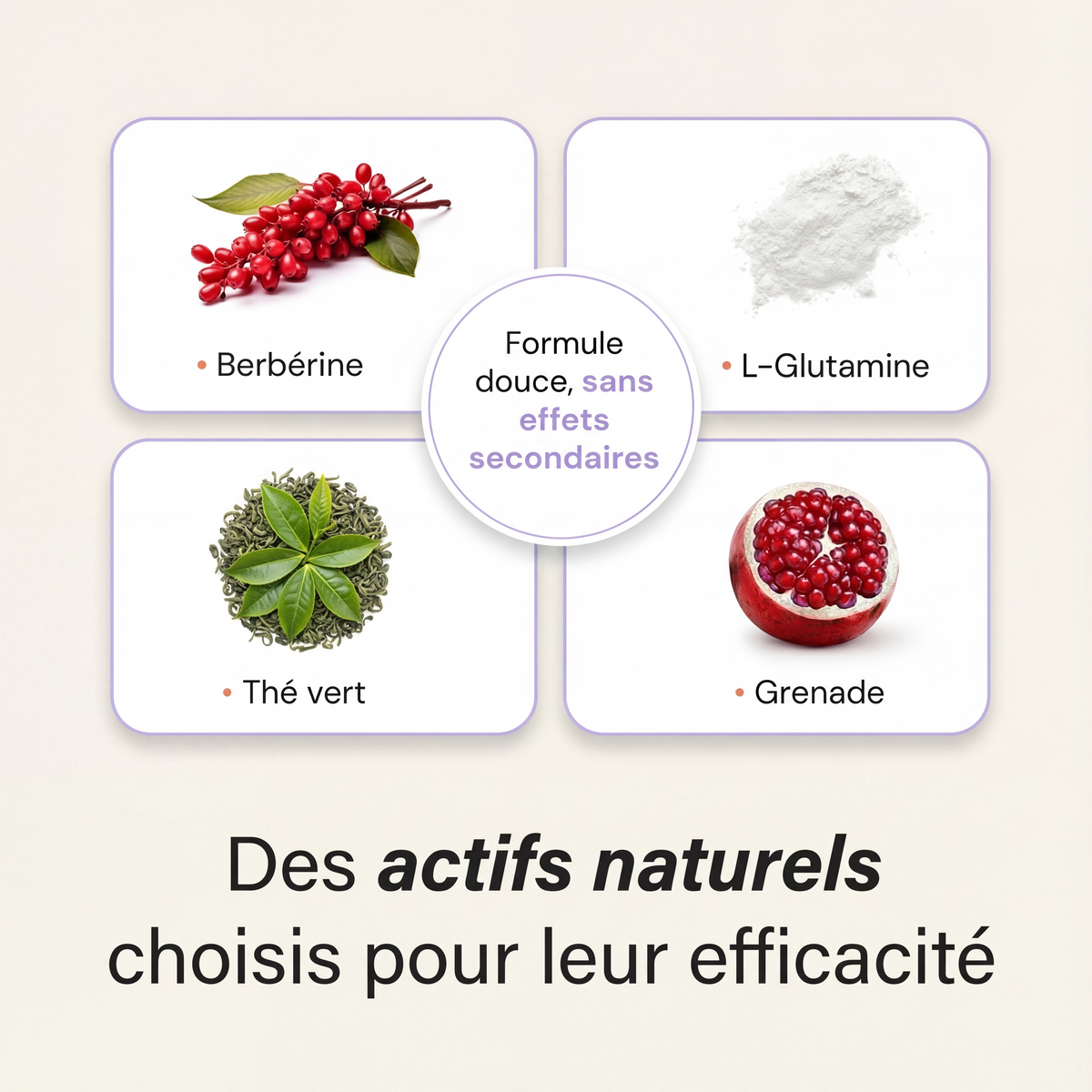 Patch GLP-1 NORDYKA — La méthode naturelle qui coupe les fringales